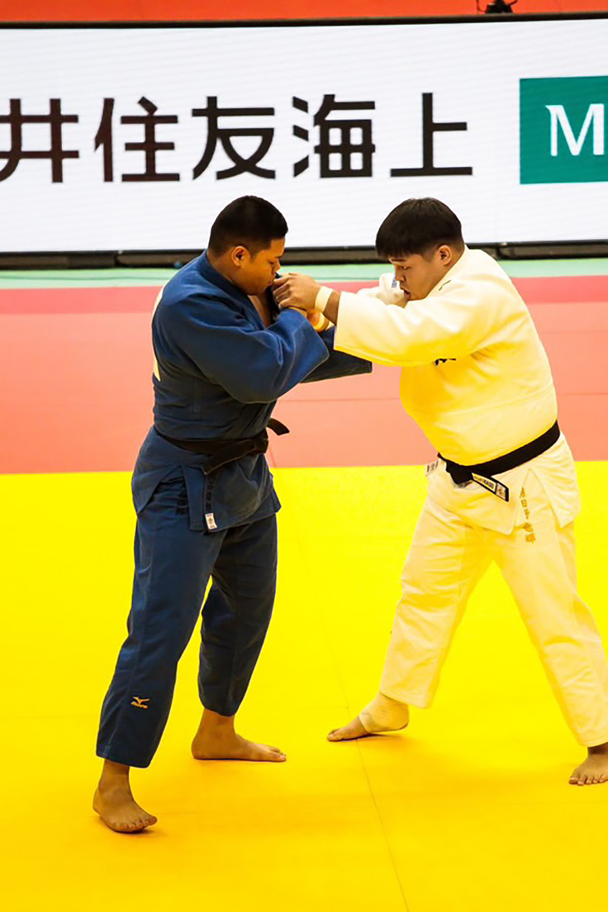 清和大学 柔道部